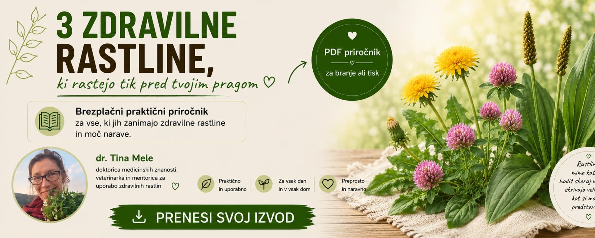 TheGreenWitchSi, Tina Mele, s.p.
